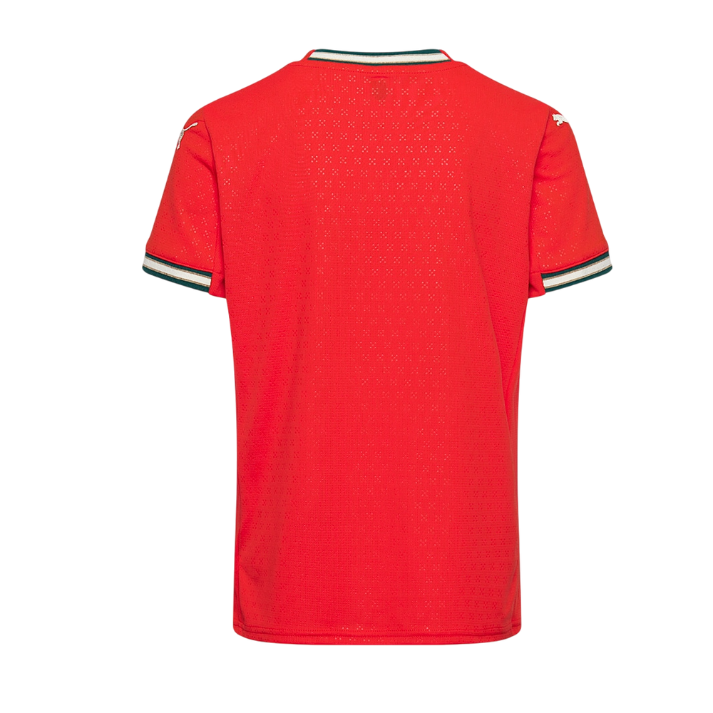 Camisa do Portugal 2025/26 Home